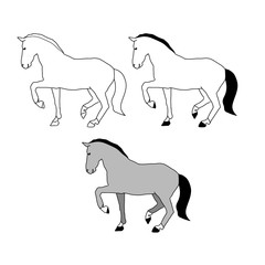 The grey horse set