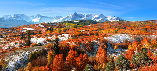 Panoramic view of autumn landscape at Dallas divide