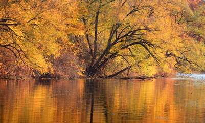 Fototapeta na wymiar Colorful autumn tree reflections in the lake