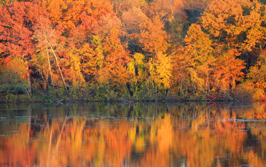 Perfect autumn tree reflections in the lake © SNEHIT PHOTO