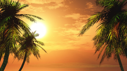 Obraz na płótnie Canvas 3D palm tree landscape