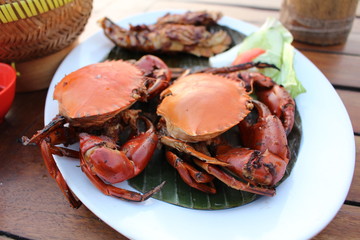 Delicious steamed red crab on white platter with herbs