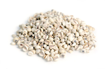 Millet rice bean, millet grains isolated on white