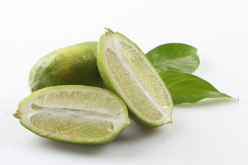 Green sliced lime on white background with herbs