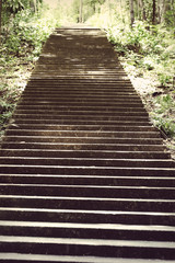 Fototapeta premium staircase old concrete of walkway in the garden.