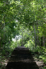 Obraz premium staircase old concrete of walkway.