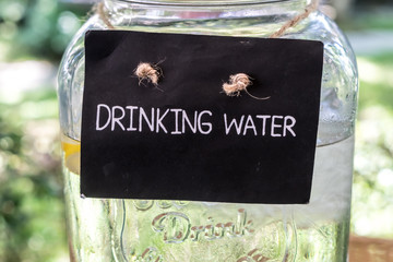 Drinking water sign