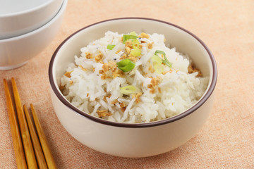 Calcium kiss fish meal with rice in white bowl