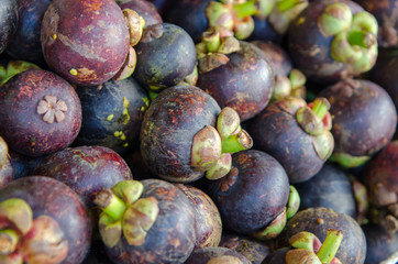 mangosteen, mangosteen background, mangosteen for sale, mangosteen fruit, mangosteen in the market,in thailand