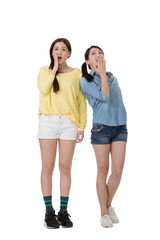 Fototapeta premium Asian woman with her friend