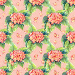 Pink hydrangea