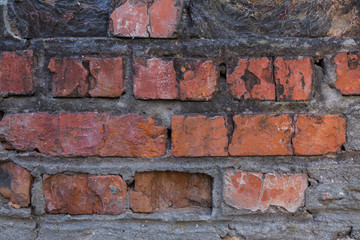 Old brick wall with plaster and decal