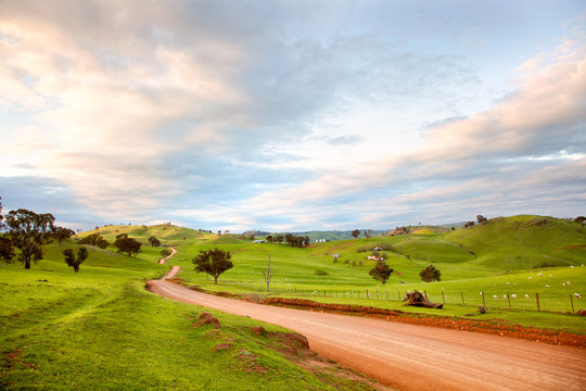 Australian countryside