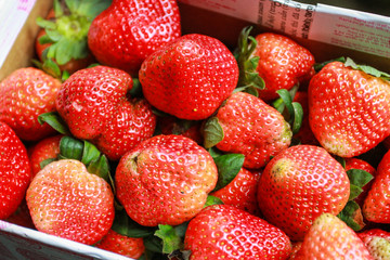 Strawberries