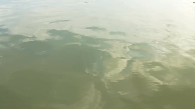 Water surface rippling ideal as a nature background:Full HD