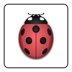 Fototapeta premium Ladybug small icon. Red lady bug sign, isolated on white background. 3d volume design. Cute colorful ladybird. Insect cartoon beetle. Symbol of nature, spring or summer. Vector illustration