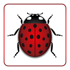 Ladybug small icon. Red lady bug sign, isolated on white background. 3d volume design. Cute colorful ladybird. Insect cartoon beetle. Symbol of nature, spring or summer. Vector illustration