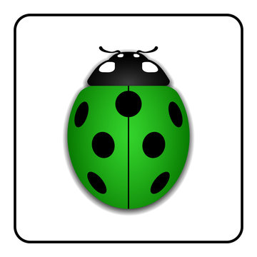Ladybug small icon. Green lady bug sign, isolated on white background. 3d volume design. Cute colorful ladybird. Insect cartoon beetle. Symbol of nature, spring or summer. Vector illustration