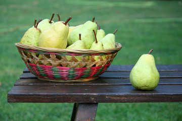 'pere mature'