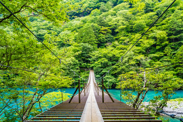 夢の吊り橋