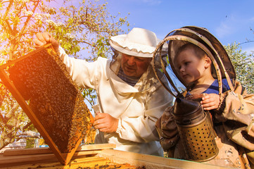 Grandpa beekeeper passes his experience little grandson. - obrazy, fototapety, plakaty