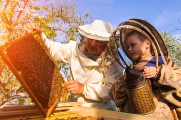Fotobehang Grandpa beekeeper passes his experience little grandson. © kosolovskyy