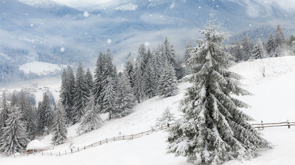 New Year,christmas, winter background