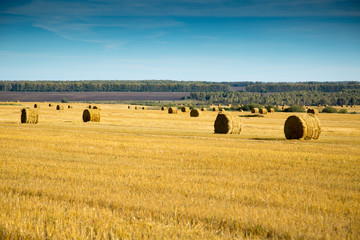Fototapeta premium haystack in a field