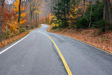 Autumn scene with road