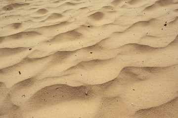 Sandy background at dunes