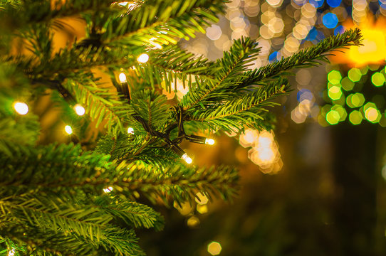Traditional Christmas Tree lights
