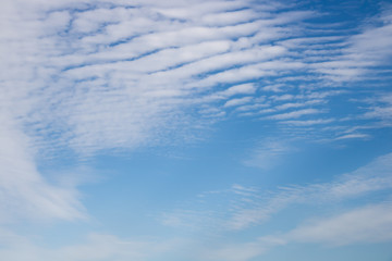 秋の青空　ばっくぐらうんど