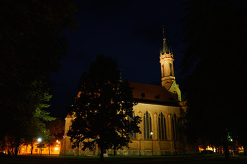 Fototapeta na wymiar The Church of the virgin Mary in Druskininkai