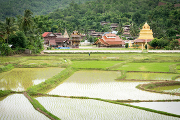Fototapeta na wymiar Thai countryside