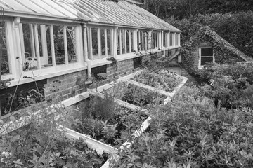 Stunning vintage Victorian era greenhouse left ro ruin in old En