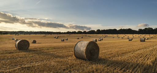 Beautiful countryside landscape image of hay bales in Summer fie