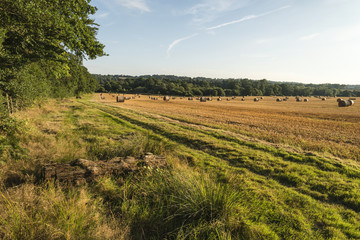 Fototapeta na wymiar Beautiful countryside landscape image of hay bales in Summer fie