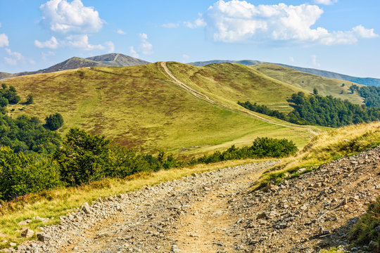 road through a meadow on hillside