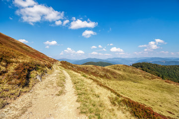 road through a meadow on hillside