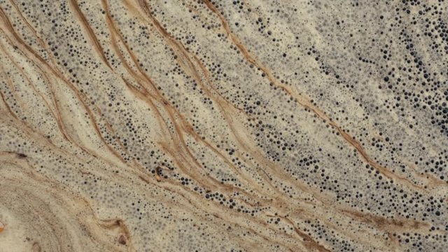 Organic scum forming foam line on surface of river water. White and brown foam moving on water near shore with low flow rate after waterfall, from dissolved organic carbon