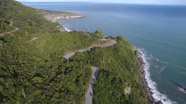 Spectacular coastal highway through coastal rain forest in New Zealand