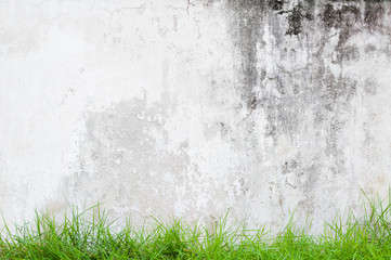 Surface texture of exposed concrete finishing method with green lawn,Green spring young grass near the plaster wall