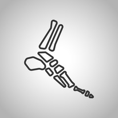Fototapeta premium human organs icon