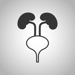 human organs icon