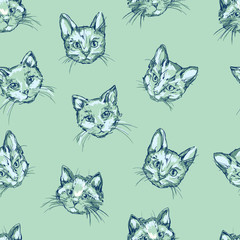 Obraz na płótnie Canvas cats seamless, kittens cute sketch vector illustration seamless, background with painted cats