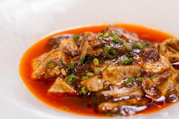 Chinese Sichuan Chenmapo tofu with sauce on white plate backgrou