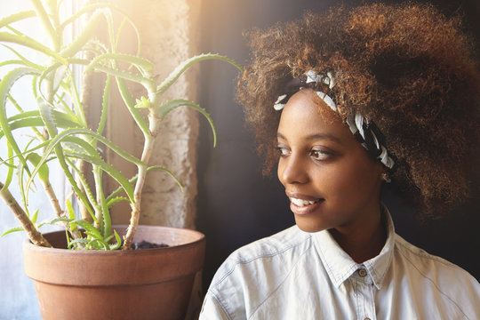 Headshot of young beautiful hipster woman with Afro hairstyle wearing do-rag on her head, looking outside through window with joyful smile, contemplating sunrise. Black girl spending day-off at home
