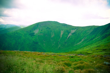 Mountains under mist at Carpathian, Ukraine