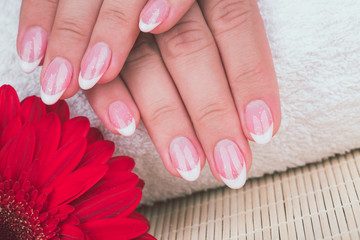 Manicure - Beauty treatment photo of nice manicured woman fingernails. Very nice feminine French manicure with shimmery top coat. 