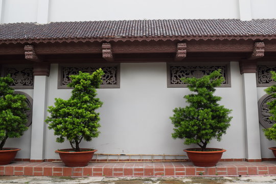 wall with roof and ornamental tree